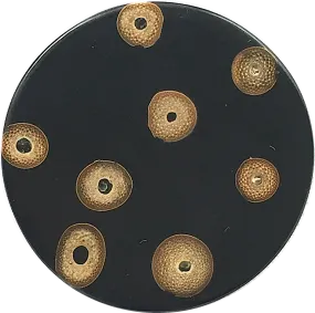 Black/Tan Bamboo Natural Dots Button 1-1/8".  #0600