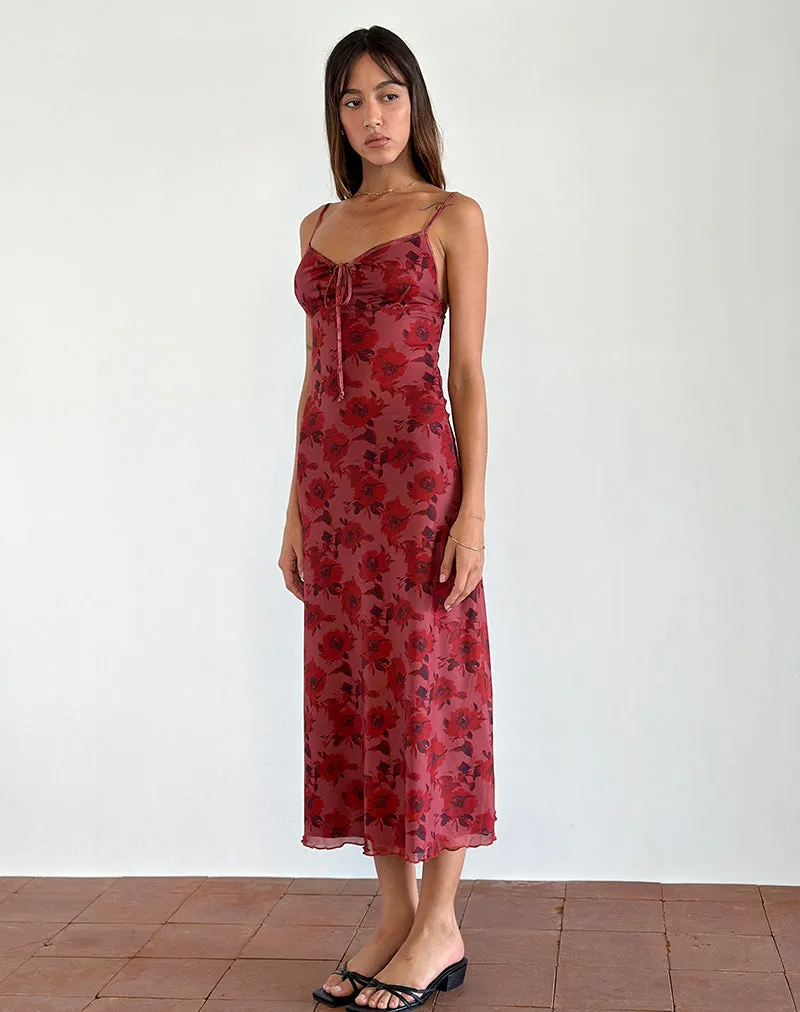 Coya Midi Dress in Fairy Floral Burgundy Flock