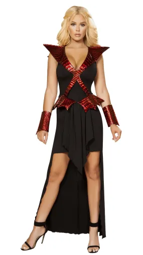 Dragon Slayer Costume