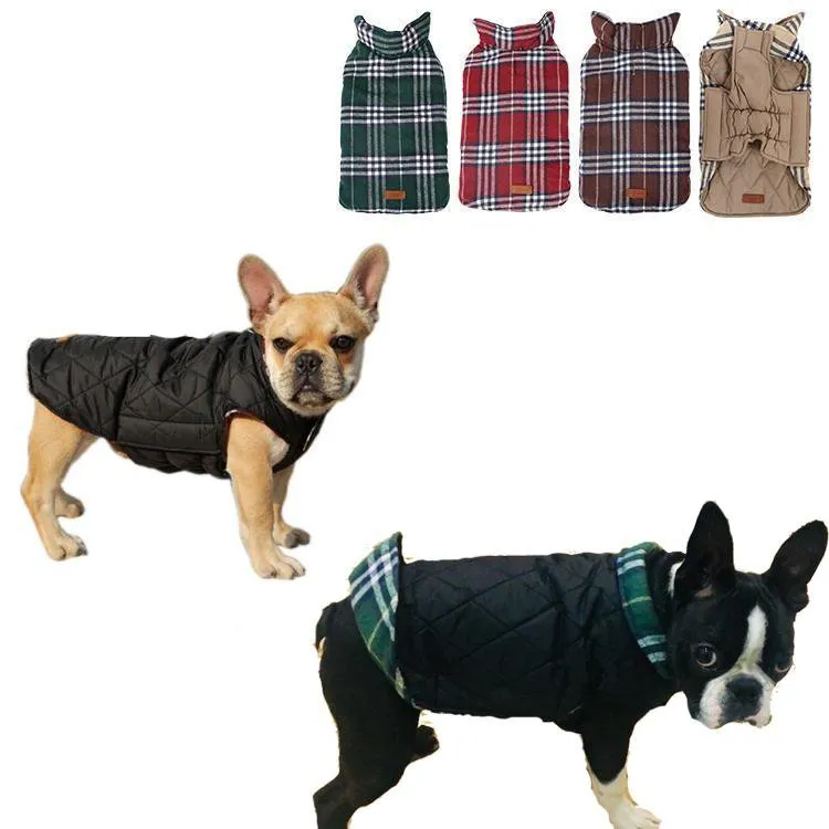 French bulldog  Jacket (WS18)