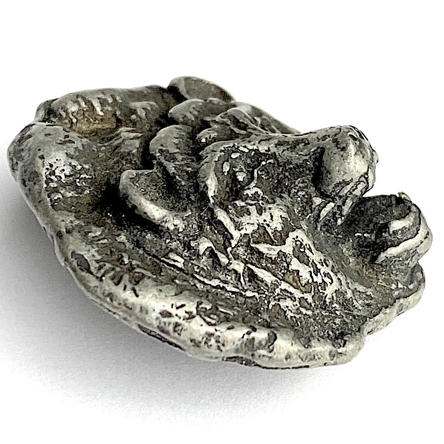 Growling Bear Button, Pewter, 7/8", Shank Back, 23mm, USA-Made  # SW-301