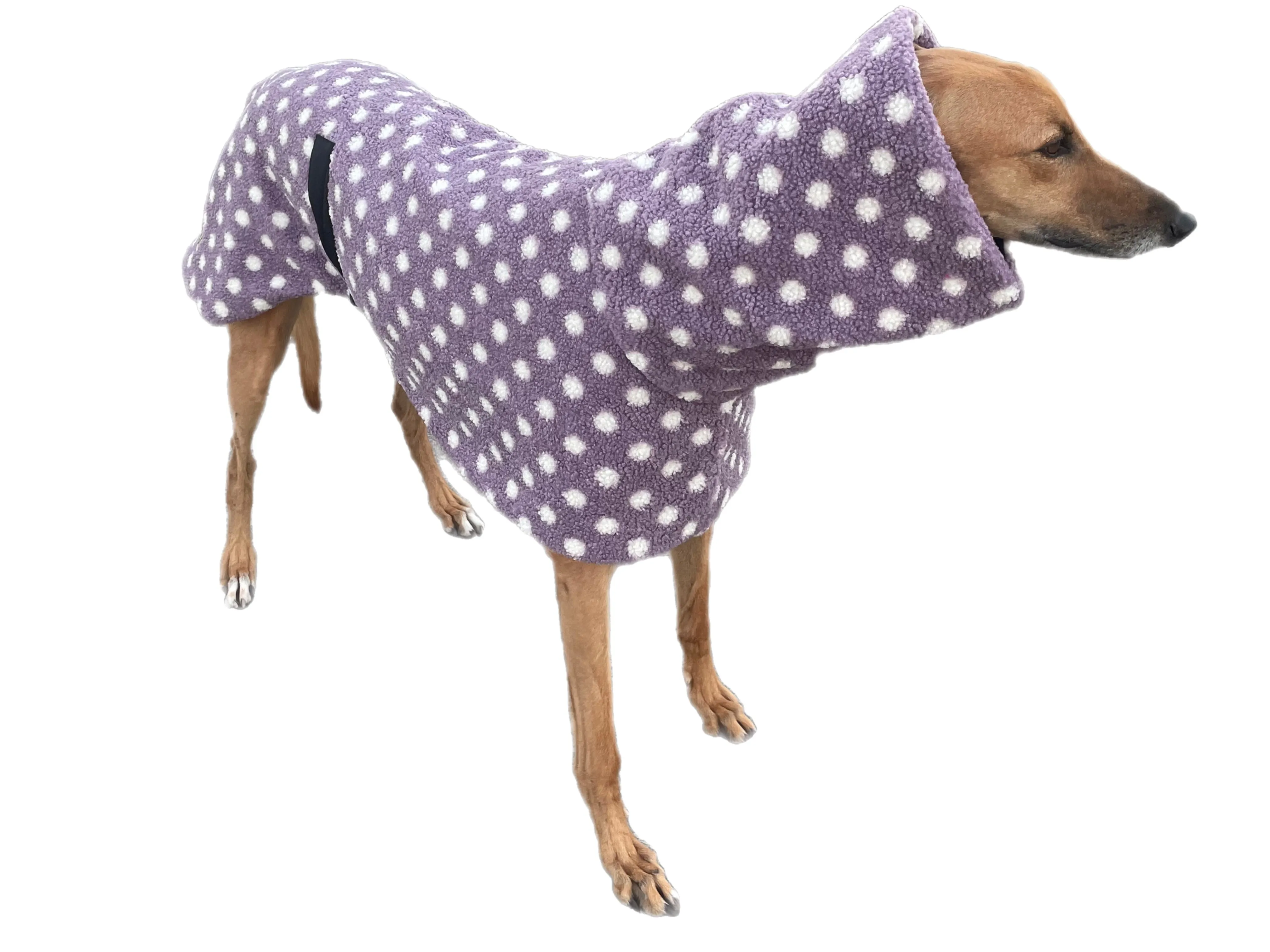 Purple Polka dot print Teddy fleece deluxe style greyhound coat with snuggly wide neck roll