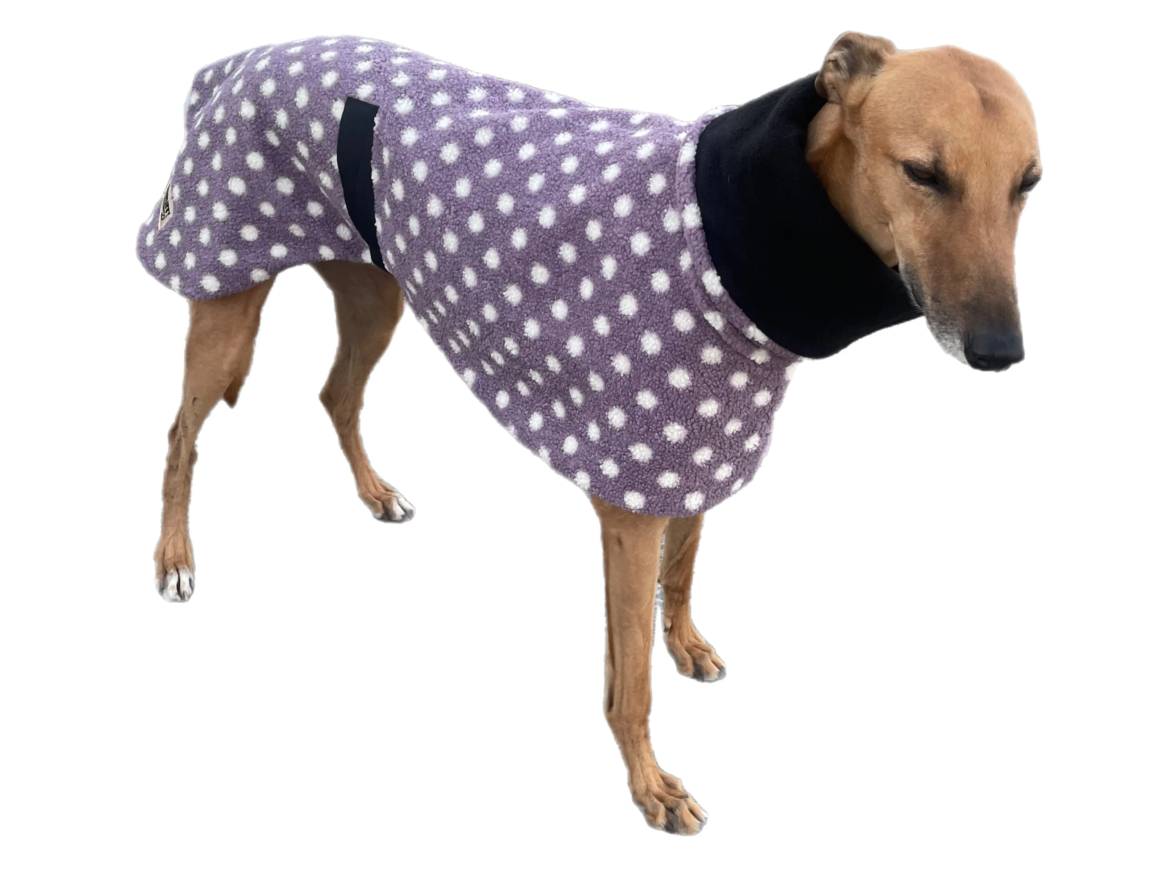 Purple Polka dot print Teddy fleece deluxe style greyhound coat with snuggly wide neck roll