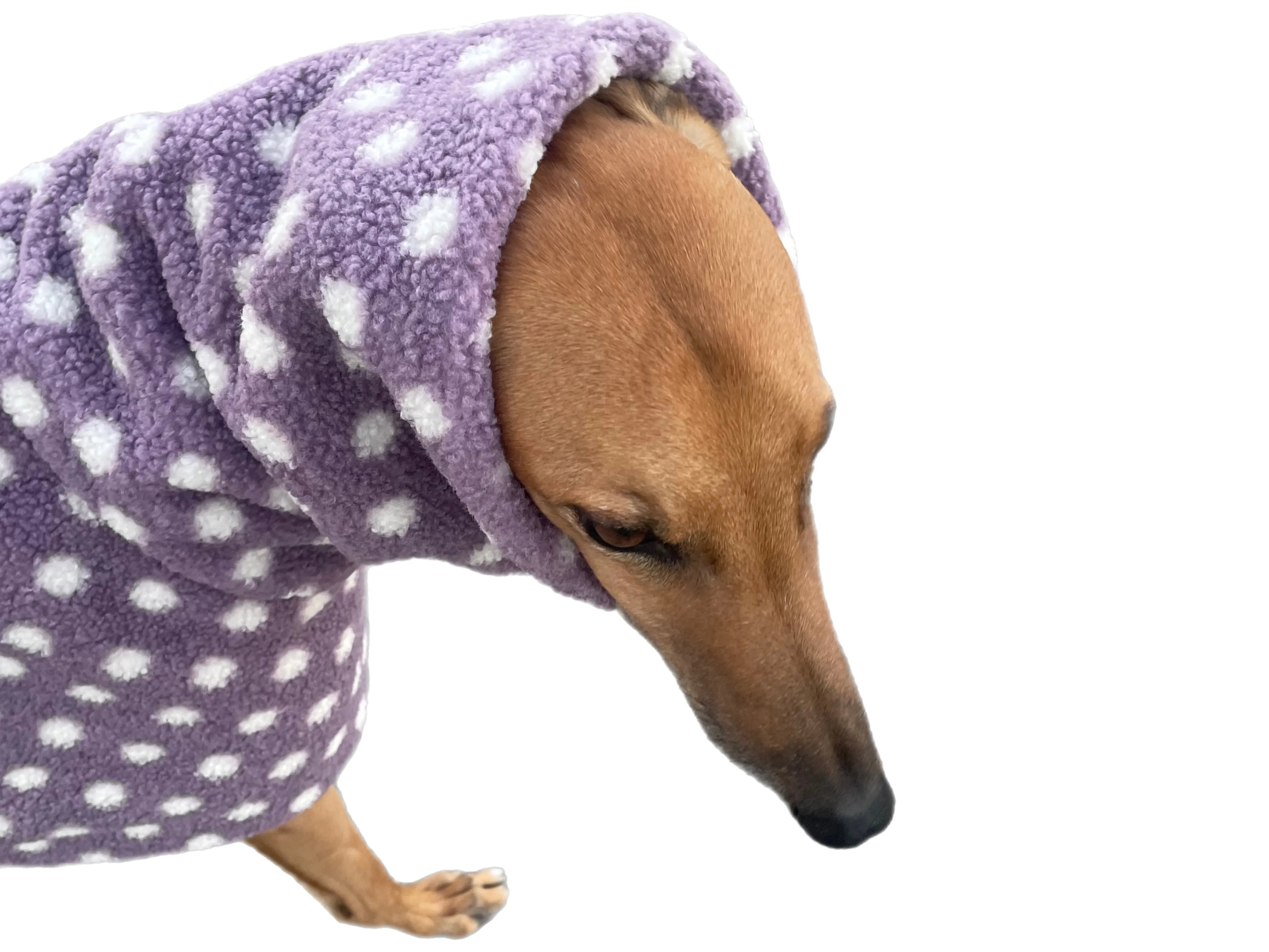 Purple Polka dot print Teddy fleece deluxe style greyhound coat with snuggly wide neck roll