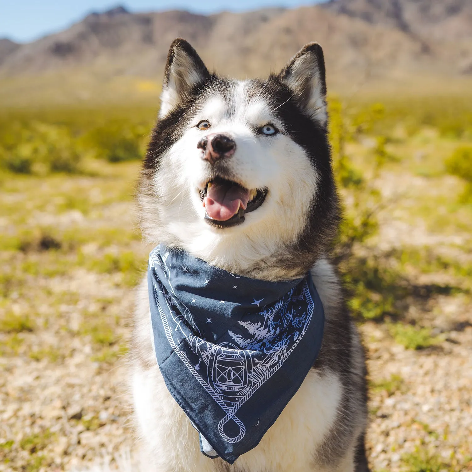 Ridge Apparel - The Ridge Bandana