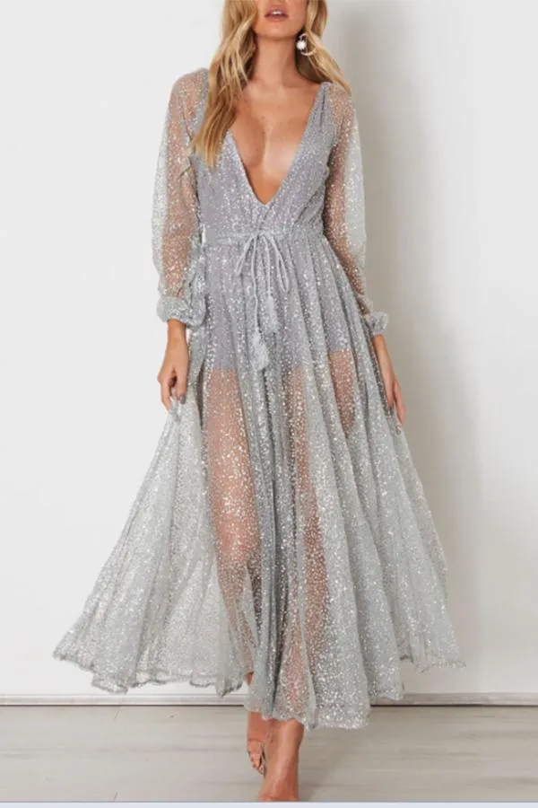 Sexy Silver Mesh Backless Maxi Dress