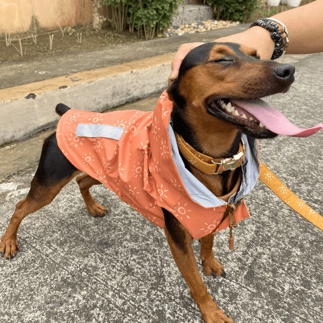 Suns Reversible Zoomies Rain Vest™