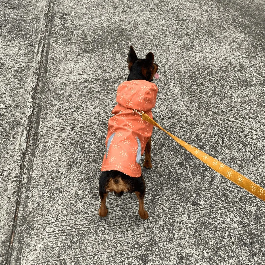 Suns Reversible Zoomies Rain Vest™